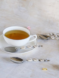 Coffee Spoons with Cowrie Shells for Coffee, Tea, Jam, Honey, Dips, Sauces or Sugar - Zapurah - Table Decor - www.zapurah.com